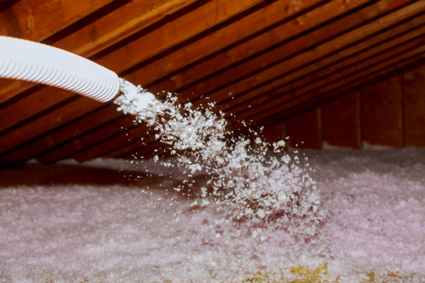Best Wall Insulation Contractor  in Walnut Creek, CA