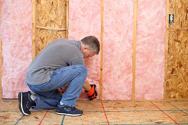Best Garage Insulation Installation  in Walnut Creek, CA