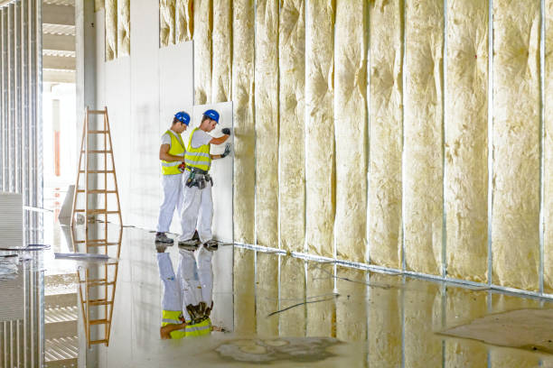 Best Soundproof Insulation Installation  in Walnut Creek, CA